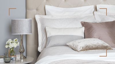 Cleaning expert reveals shocking reason your pillow needs cleaning more often than you think