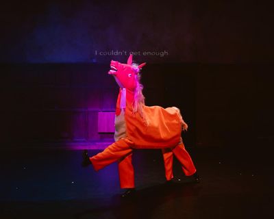 Thick & Tight: Natural Behaviour review – giddy cabaret with a turn from Donald the orange panto horse