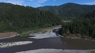 Yurok tribe reclaims ancestral territory in California's largest ever land-back project