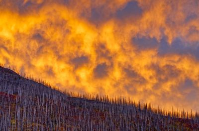 Climate change and nature loss merit radical prioritization amid a sprawling sustainability agenda, say former CEOs