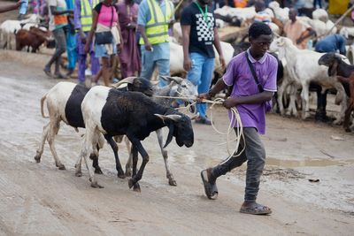 Muslims look forward to the annual Eid feast. Many Africans are now struggling to afford it