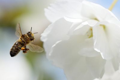 Ireland has warmest spring in 126 years – Met Eireann