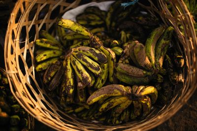 Understanding ‘Best Before’ Dates: 13 Ways They Can Influence Your Grocery Shopping (And How Not to Be Rushed)