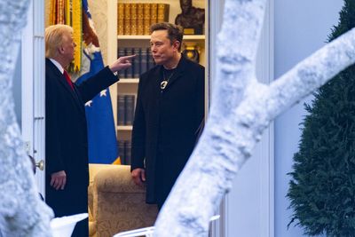 House Speaker Mike Johnson says Trump is 'not delighted that Elon did a 180' after the pair spent four months working closely together
