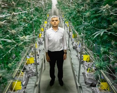 Sadiq Khan is right: Britain must decriminalise cannabis – or remain in the dark ages