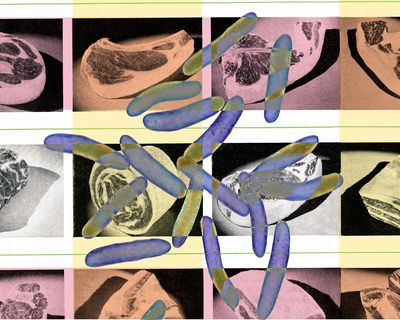 Don’t rinse raw chicken: nine food safety tips from microbiologists