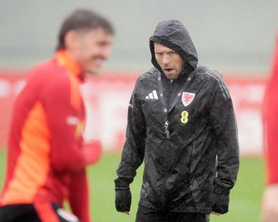 Craig Bellamy plans to make hay in June and will not ‘disrespect’ Liechtenstein