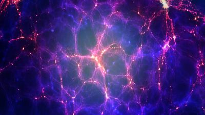 Magnetic fields appear to be as old as the universe itself. What created them?
