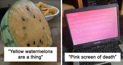 40 Unusual Things People Came Across That Made Them Think They’d Entered A “Parallel Universe”