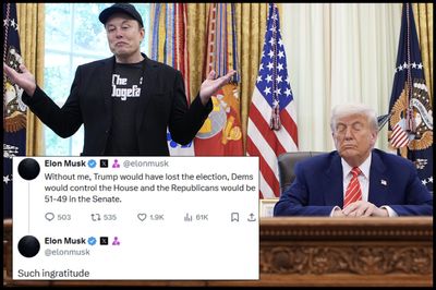 Musk Endorses Claim That Trump 'Would Have Lost' Election Without Him: 'Such Ingratitude'