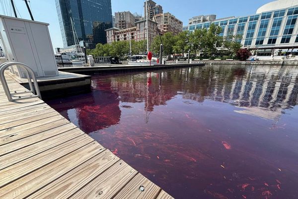 Clean-up underway after 2,000 gallons of fuel spill in Baltimore Harbor from leak at Johns Hopkins Hospital