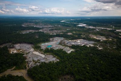 Colombia reports 33% drop in deforestation in early 2025, with major progress in Amazon parks