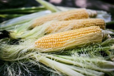 Celebrate summertime corn and squash