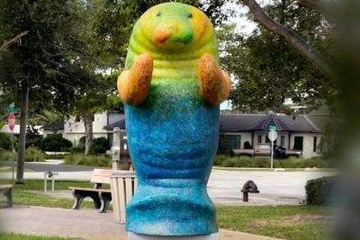 Oh the huge-manatee! Giant sculpture of marine creature goes missing in Florida