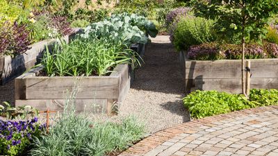 Professional gardeners never waste their money or time on this one piece of kit – here's what they opt for instead