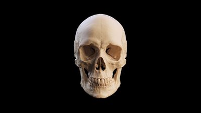 Human evolution: Facts, news, features and articles about the past 300,000 years of Homo sapiens