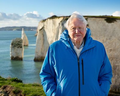 Ocean With David Attenborough to Anora: the seven best films to watch on TV this week