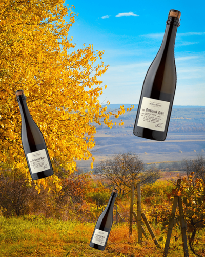 Feteasca alba: the £9.25 sparkling wine from Moldova everyone should be drinking this summer