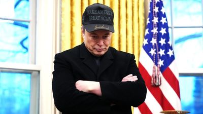 ‘Deported from the country immediately’: Key Trump ally urges ICE to detain ‘illegal alien’ Elon Musk