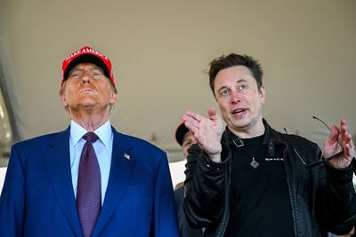 Elon's freakout reveals deep MAGA rifts