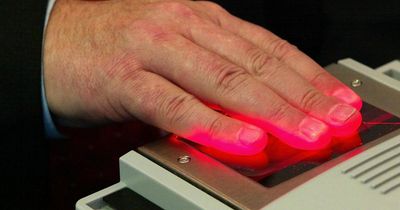 Labour considering 'Brit Card' ID plans, minister confirms