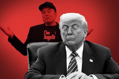 Elon Musk-Donald Trump rise and fall: From 'first buddy' to losing $34 billion in wealth