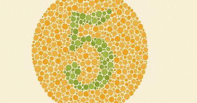“Are You Seeing The Whole Spectrum?”: 21 Questions To Prove You’re Not Colorblind