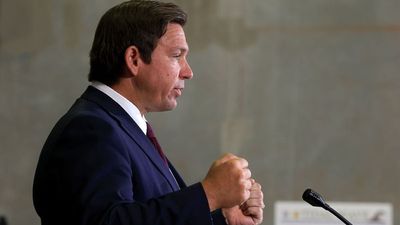 ‘Stood tall and took the hits’: DeSantis DOGE fundraising pitch accidentally lands in the middle of Trump-Musk divorce