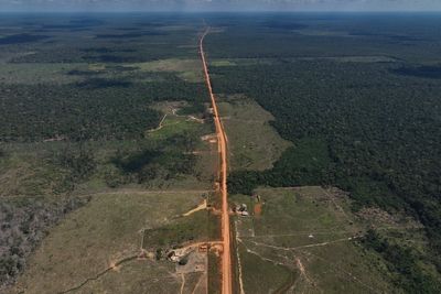 As UN climate talks loom, Brazil's Amazon forest loses in May an area larger than NYC