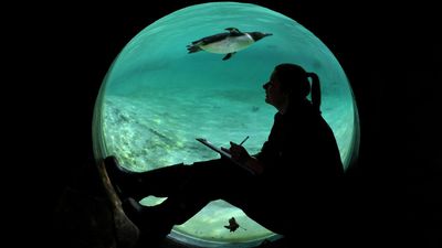 Ocean’s survival hinges on finding the billions needed to save it