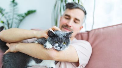 Cat behaviorist shares the biggest mistake that cat owners make