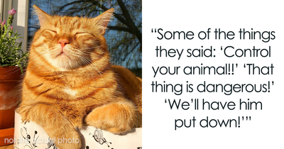 Cat Teaches Aggressive Child Not To Hurt Animals After Parents Failed To Do So