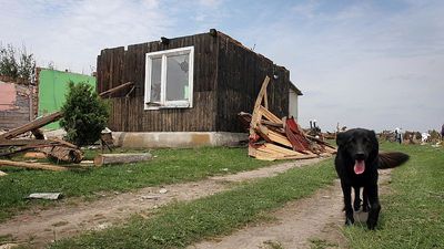 Around 30,000 people in Poland's south cut off from electricity after severe storms