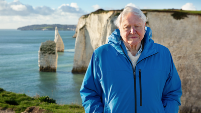 How to watch 'Ocean with David Attenborough' online from anywhere – stream nature documentary