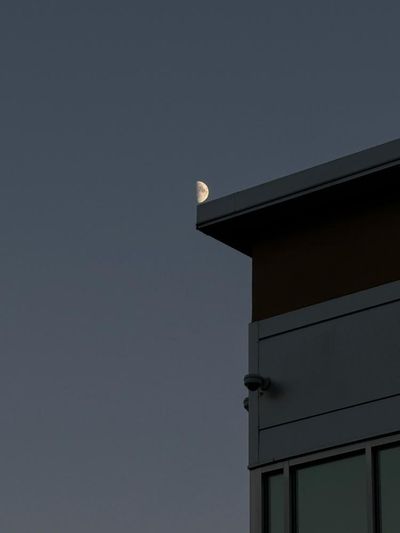 ‘The moon came into view and I searched for the perfect place to stand’: Eric Kogan’s best phone photo