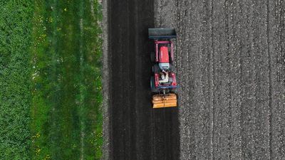 RFK Jr’s report calls farmers the ‘backbone’ of the US – but Trump’s cuts hurt them