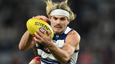 Smith set for quick return to bolster red-hot Cats