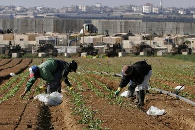 Why so many Thai nationals are among the hostages held by Hamas in Gaza