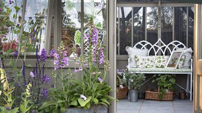 I've finally discovered exactly how to keep my container plants watered when I'm on vacation – and it takes less than five minutes