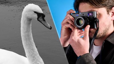The Leica M11-D is one of the most challenging cameras I’ve reviewed — and it has made me a better photographer