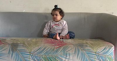 Scottish grandmother volunteers to help displaced Gazans