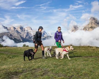 The ruff guide to Europe: 15 dog-friendly holidays