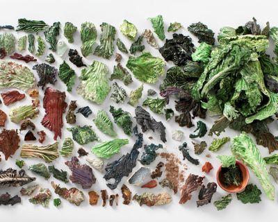 Fancy some iconic celeriac? New Nordic cuisine, now a blockbuster exhibition