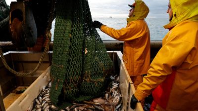 French NGOs slam 'lack of ambition' after Macron's bottom trawling announcement