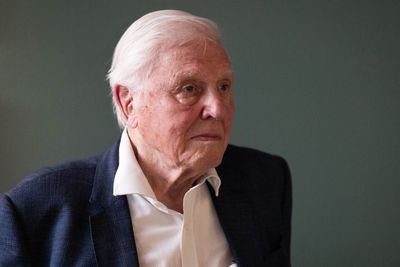 David Attenborough came close to drowning due to faulty 1950s scuba diving equipment