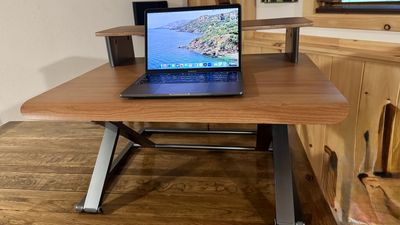 I reviewed the Branch Desk Riser and it's one of the most beautiful standing desk converters I've ever seen