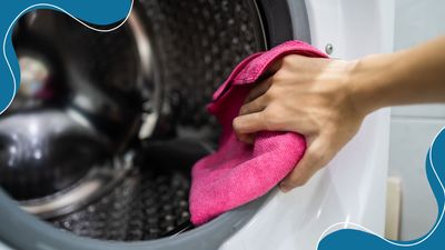 How to clean the rubber seal on a washing machine, according to cleaning specialists