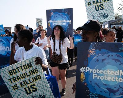 Campaigners hail plan to ban bottom trawling in half of England’s protected seas