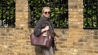 I'm thinking of buying a new designer handbag, but this time it's for my dog, let me explain...