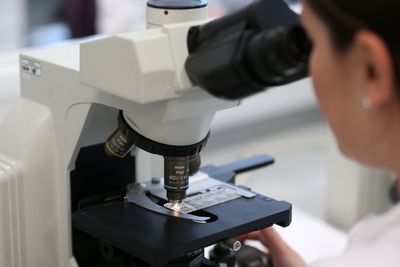 Scientists link gut bacteria to early stages of Parkinson’s disease